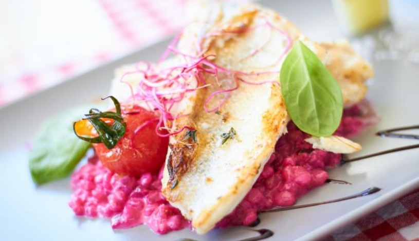 Hotel CROCUS **** Vysoké Tatry